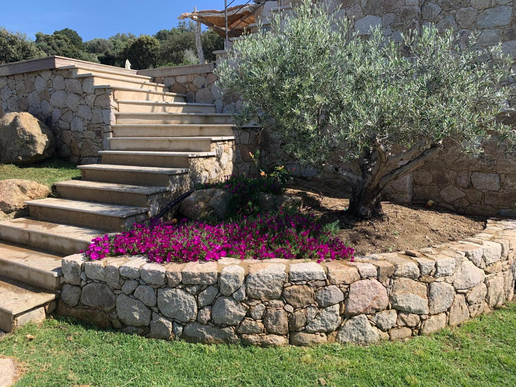 Villa Macagna Corbara Eksteriør bilde